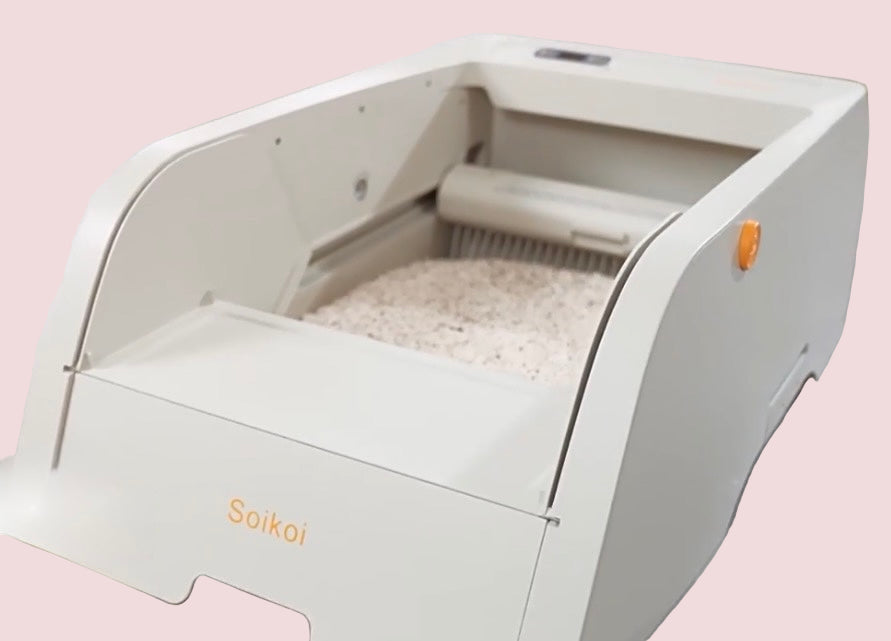 Arenero Automático Inteligente con Cámara y App – ReGa Cats