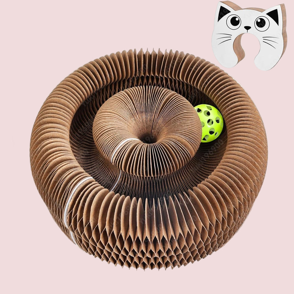 Juguete Interactivo Magnético de Cartón – ReGa Cats