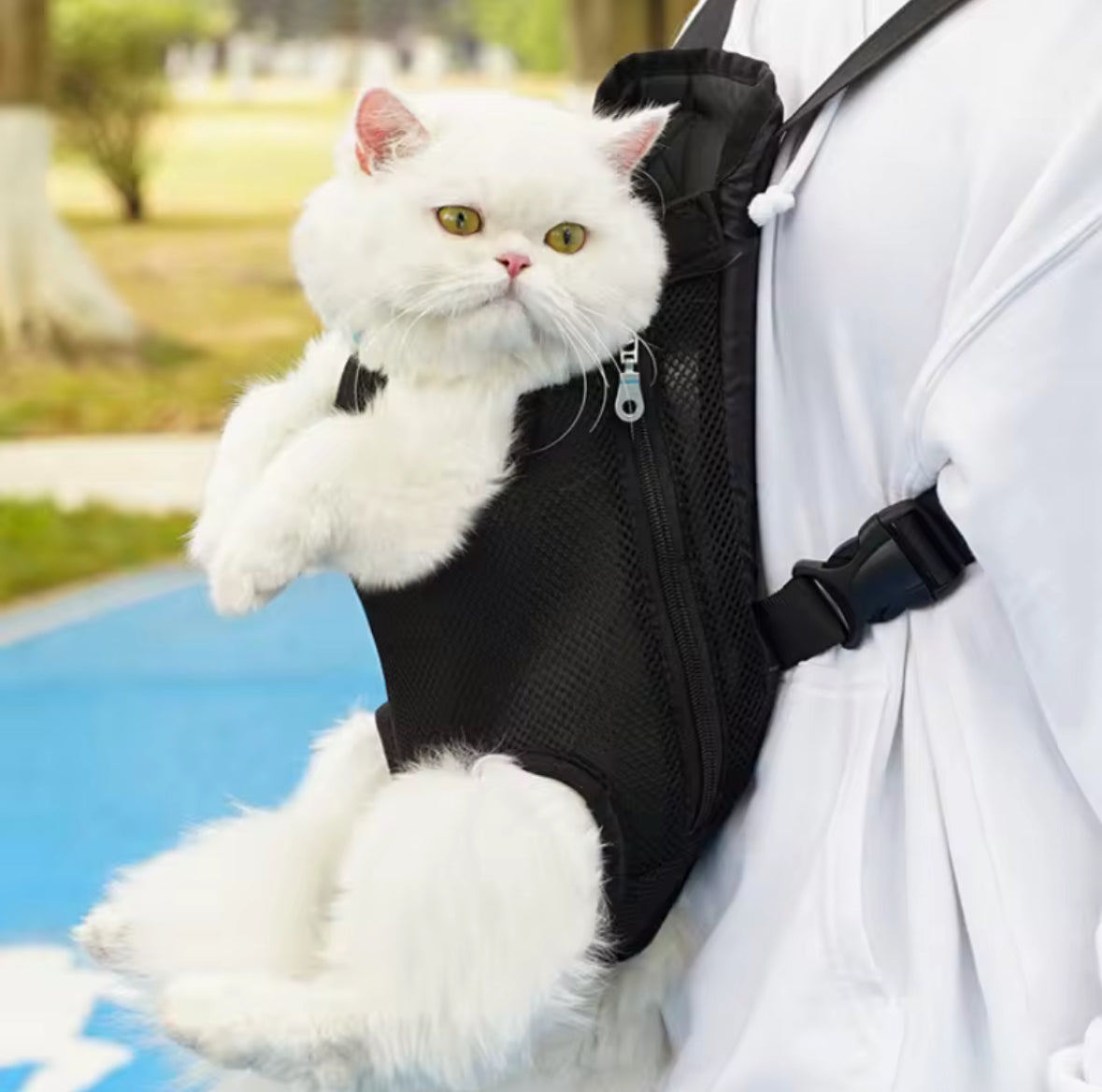 Mochila Porta-Gatos Negra