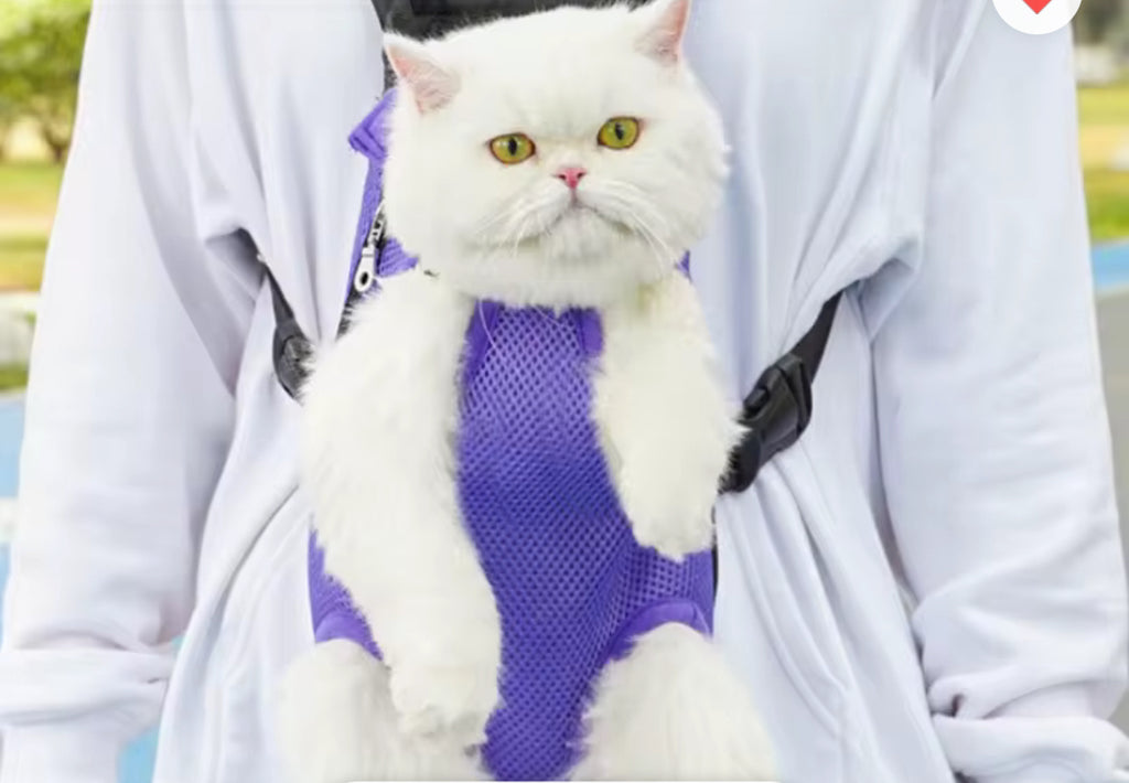 Mochila Porta-Gatos Lila