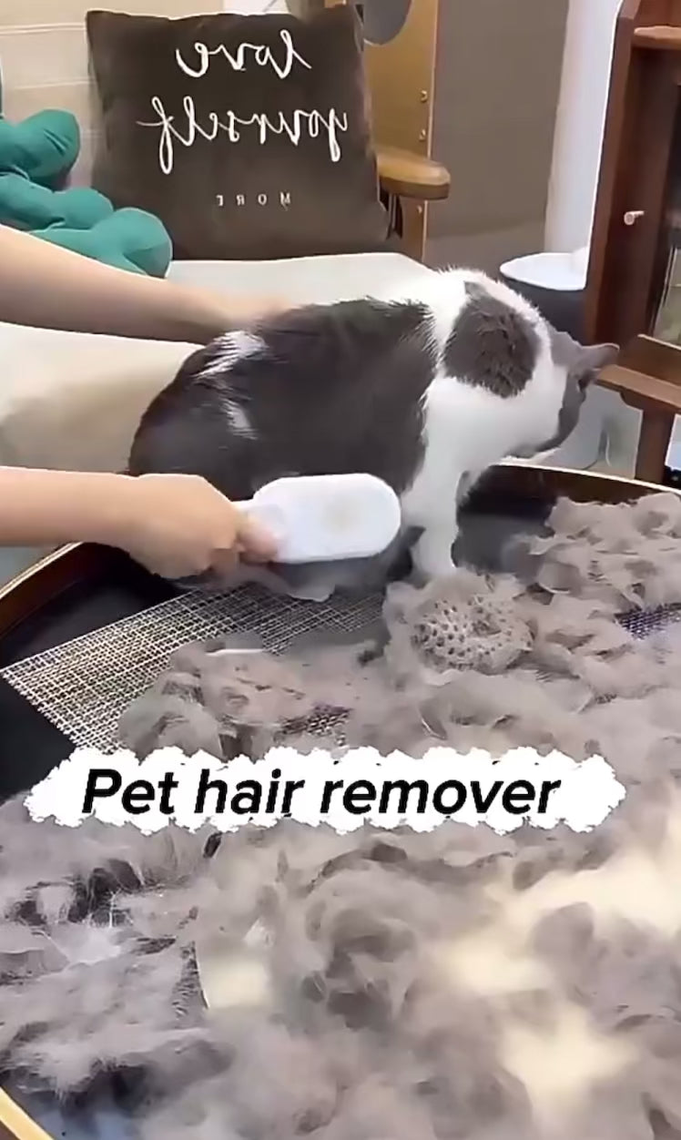 Cepillo Eléctrico 3 en 1 para Gatos Recargable Blanco